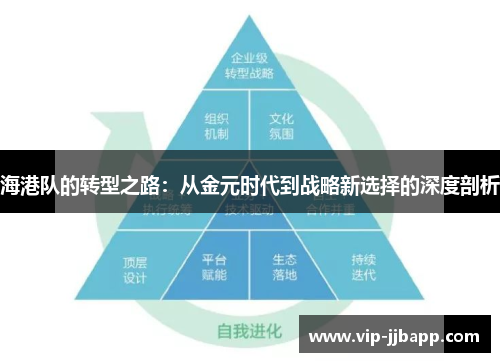 海港队的转型之路：从金元时代到战略新选择的深度剖析