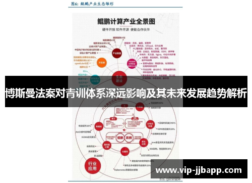 博斯曼法案对青训体系深远影响及其未来发展趋势解析